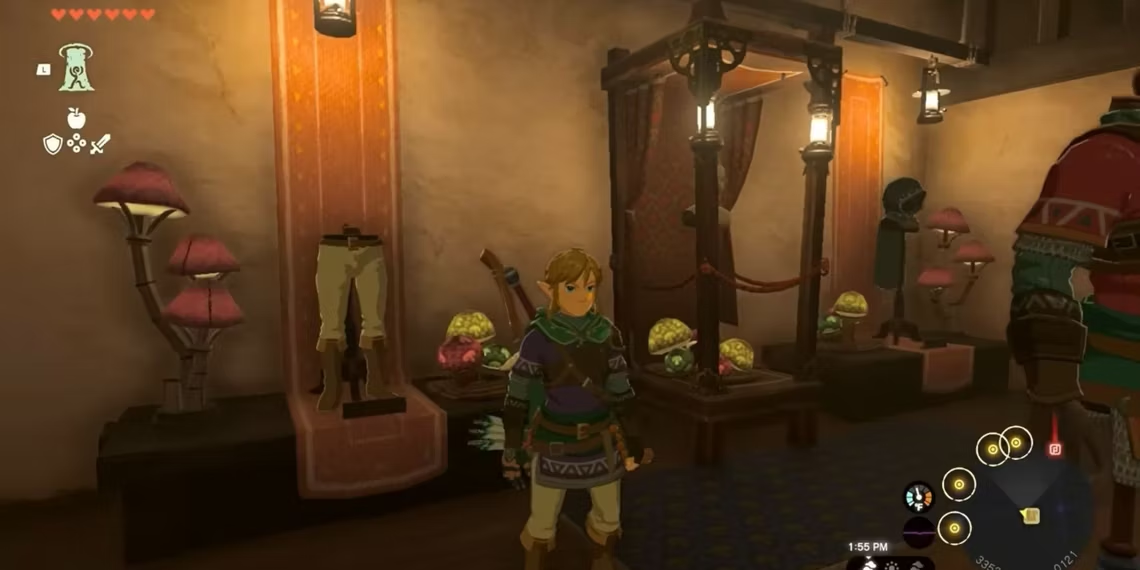 Bringing Down Link's Hood in Zelda: Tears of the Kingdom
